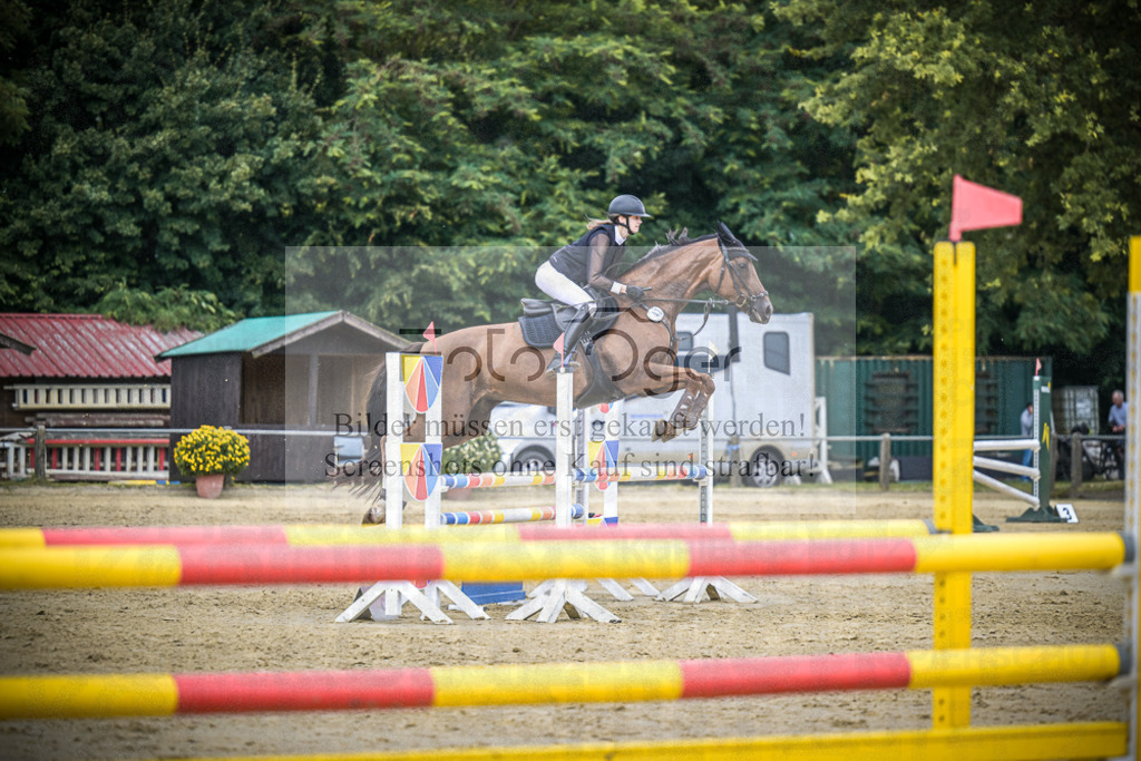 DOS_8743 | Entdecke hochwertige Reitturnierfotos von Foto Oger. Professionell, emotional und authentisch – jetzt Lieblingsmomente im Shop bestellen.Deutschlandweite Turnierfotografie. - Realisiert mit Pictrs.com