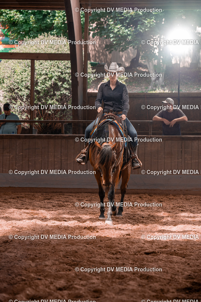 NE100558 | dv-media-shop - Realisiert mit Pictrs.com