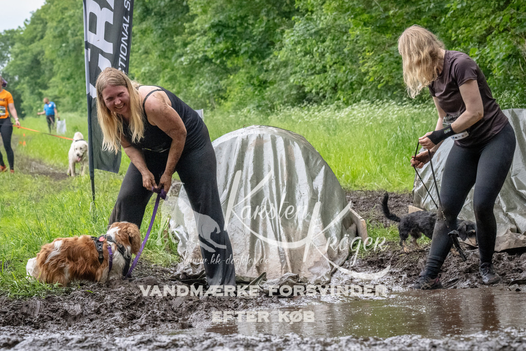 1640_ZZ94719-Bearbeitet | kk-dogfotos