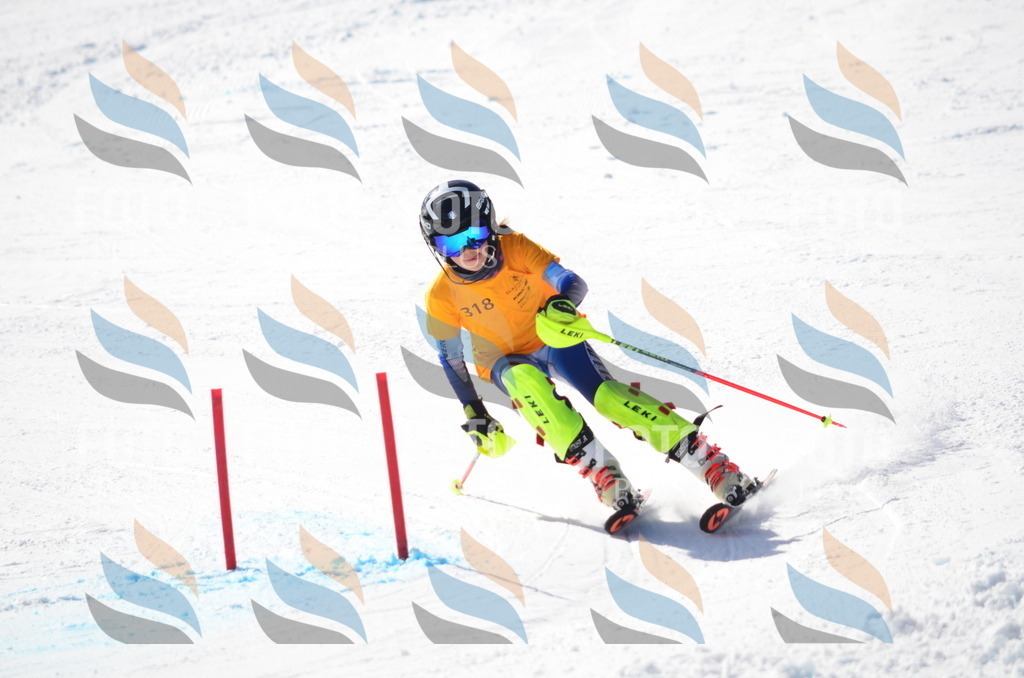 C9566 | holidayphoto