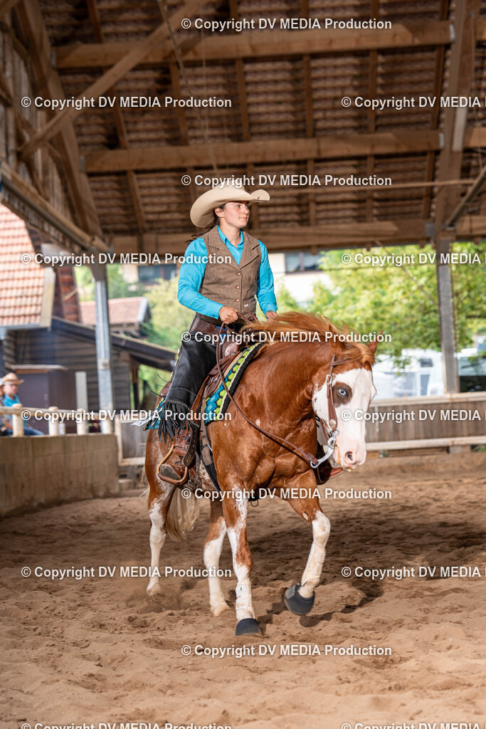 Erbach Tag 1-1157 | dv-media-shop - Realisiert mit Pictrs.com