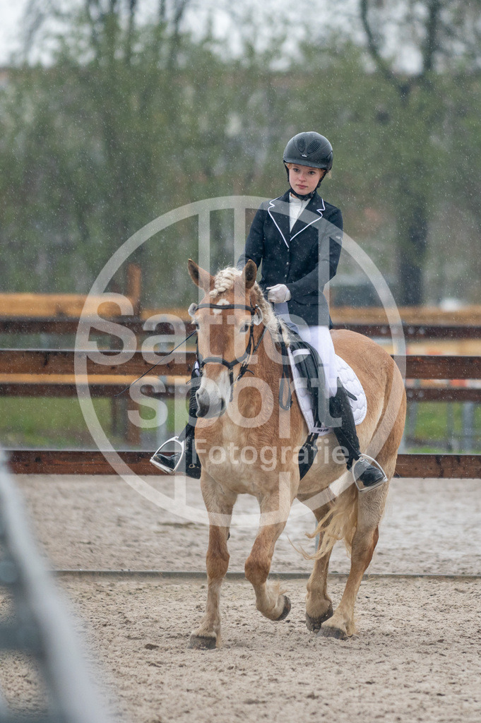 DSC_4590 | sattelsport - Realisiert mit Pictrs.com