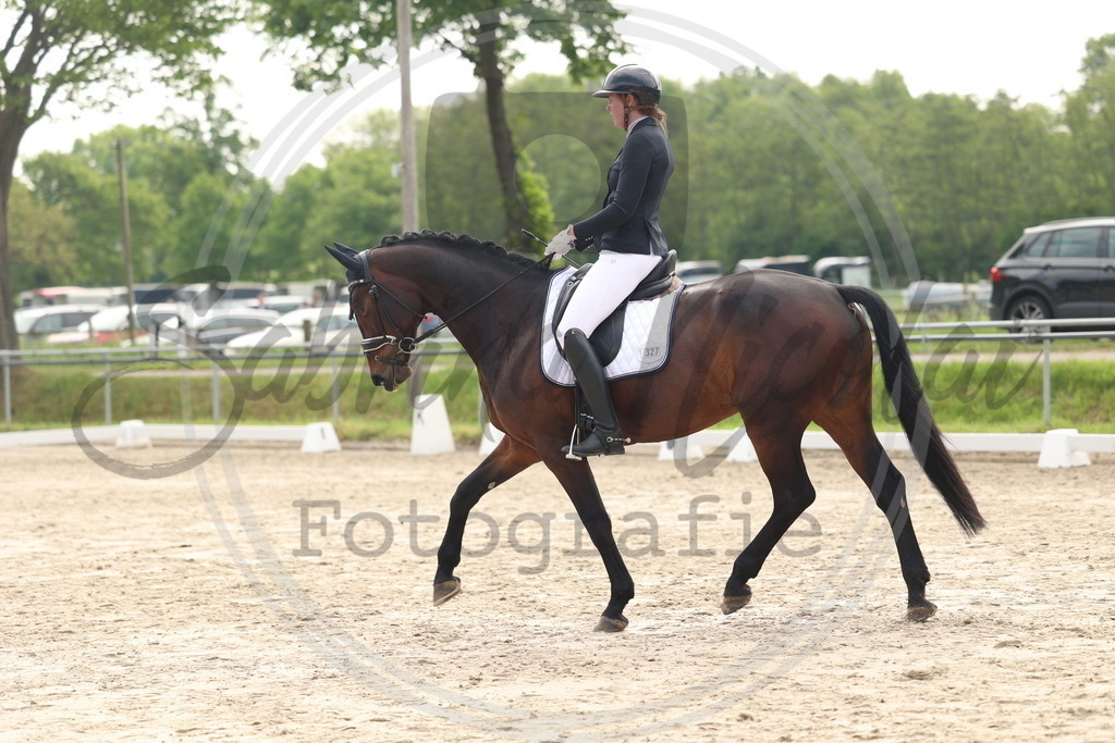 994A6345 | sabrinanicolaifotografie - Realisiert mit Pictrs.com