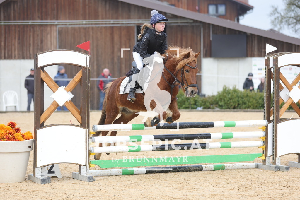 0P6A8690 | Willkommen bei Brunnmayr - Design & Fotografie – Ihrem Spezialisten für Reitturniere und Pferdeveranstaltungen in Oberösterreich, Salzburg und Bayern! Seit über 17 Jahren sind wir leidenschaftlich dabei.