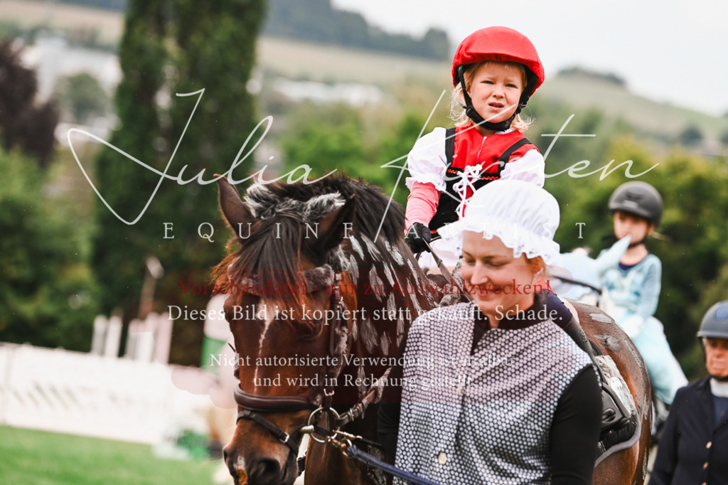 DSC_7335 | Pferde- und Turnierfotografie in Westsachsen. Pferdeportraits, Auftragszeichnungen und intuitive Kunst.