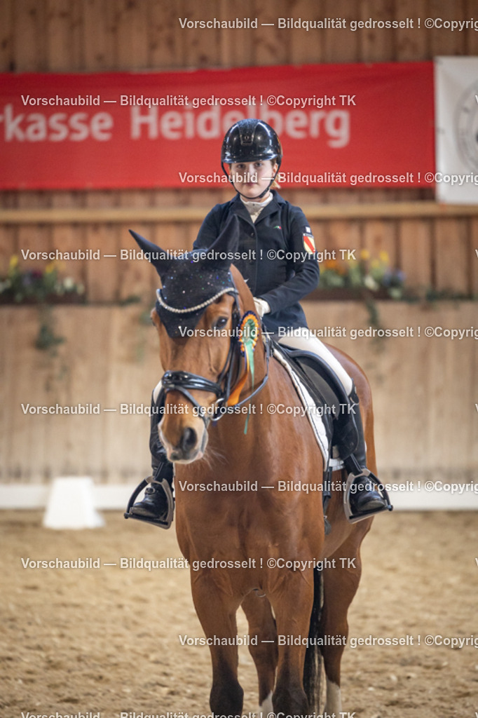 _D5A1589 | Emotionale Pferde- & People-Fotografie rund um Heidelberg, Leimen & Umgebung. Natürliche Fotos von Pferd, Mensch & Familie. Jetzt Termin sichern!