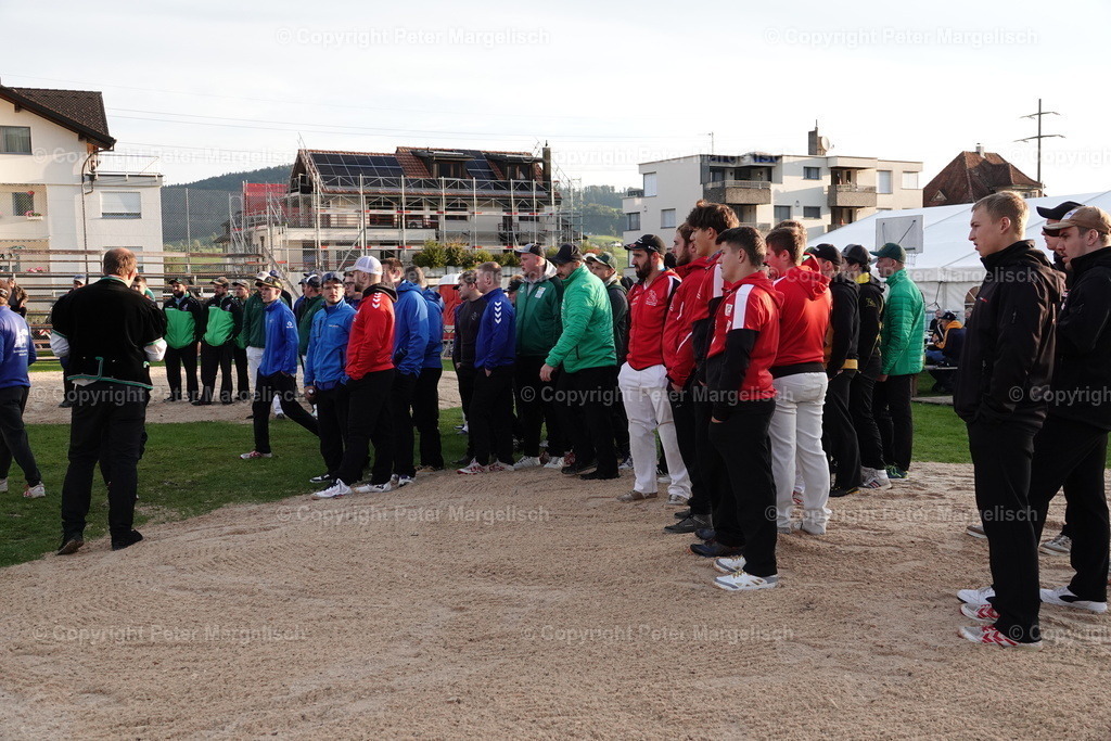 DSC08411 | Schwingen - Realisiert mit Pictrs.com