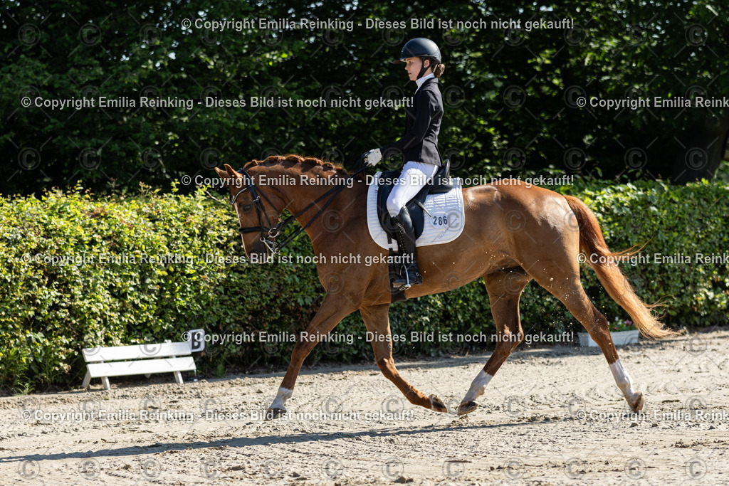 CL5A6893 | Emilia Reinking Fotografie - Realisiert mit Pictrs.com