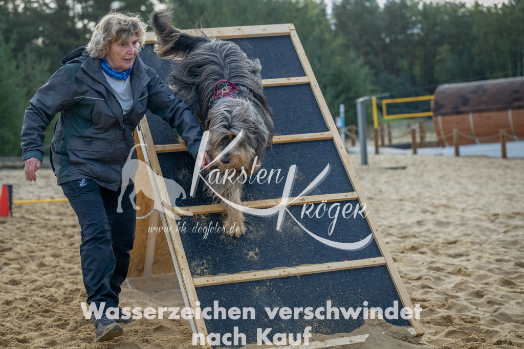 0908_ZZ91873-Bearbeitet | kk-dogfotos