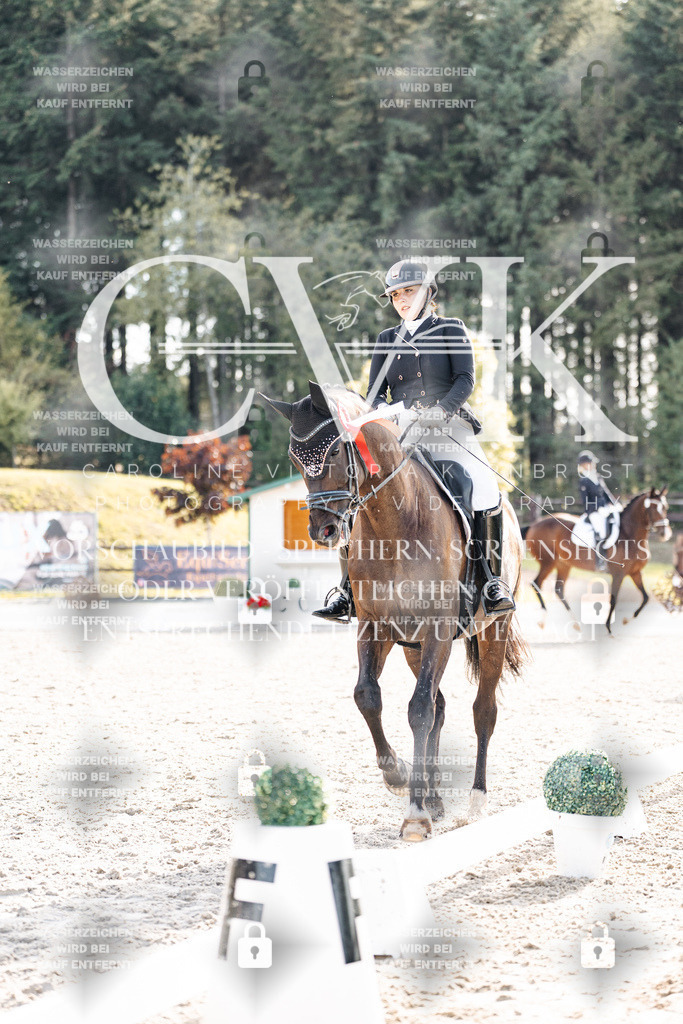 CK901804 | Turnierfotografie Pferdefotografie Trier Rheinland-Pfalz Pferdesport Reitsport Tierfotografie Sportfotografie Pferdevideo Pferdevideografie Equestrianvideography equestrianphotography  - Realisiert mit Pictrs.com