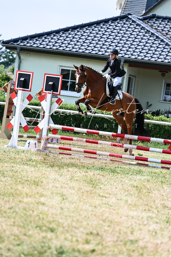 DSC_8672 | Pferde- und Turnierfotografie in Westsachsen. Pferdeportraits, Auftragszeichnungen und intuitive Kunst.