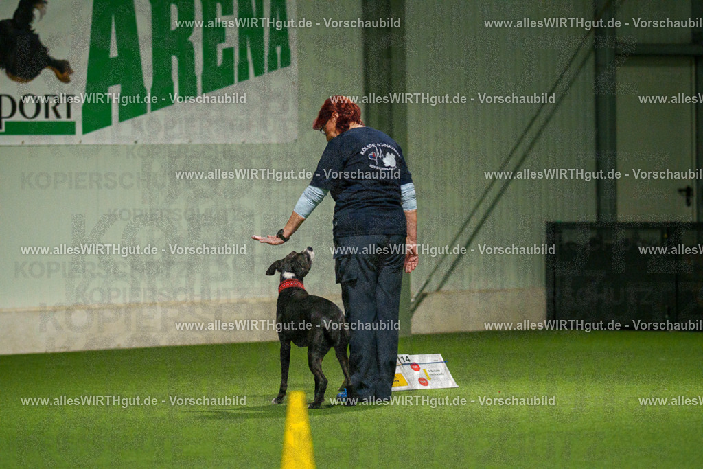 7R507388 | Professionelle Tierfotografie in Mönchengladbach von Daniel Wirth (allesWIRTHgut). Liebevolle & natürliche Bilder von Hunden & Katzen für unvergessliche Erinnerungen.