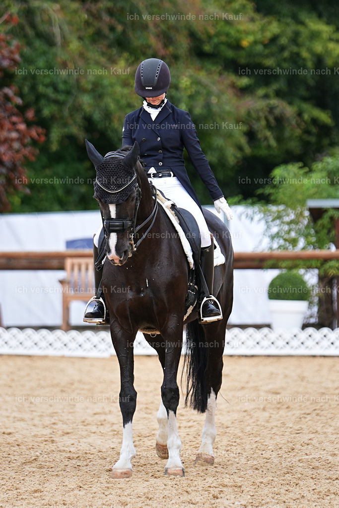 6-182-AMATUER-DRESSUR S_  -Marixx-3714 | working equitationturnier fotograf videograf stoibphotography marixx film working equitation deutschland reitsport turnierfotografie eventfotografie equestrian events