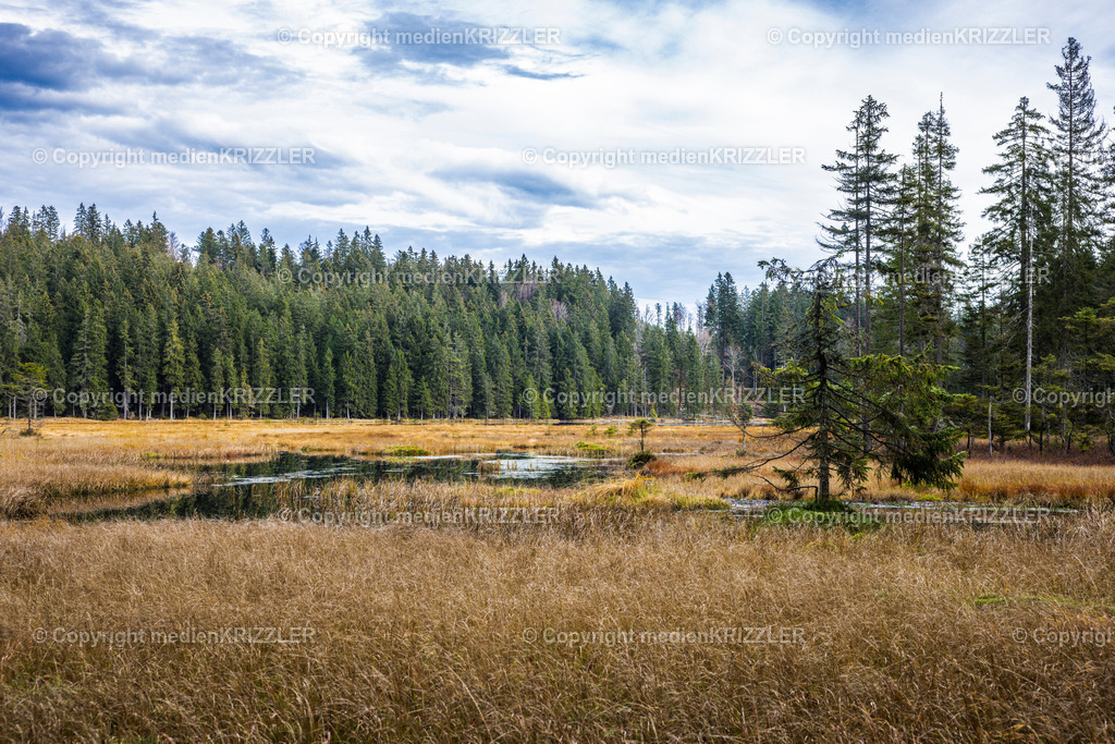 _J3A9070 | medienkrizzler - Realisiert mit Pictrs.com