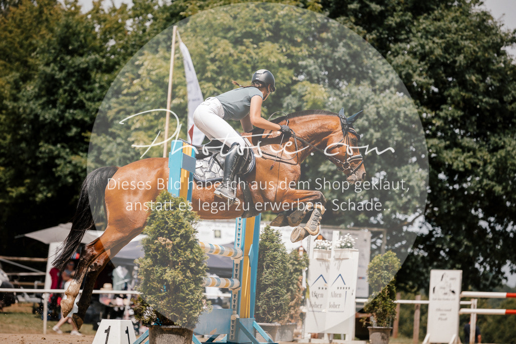 3I6A8003 | Stimmungsvolle Portraits und Reitsportfotografie im Ruhrgebiet und im Münsterland.

Pferdefotografie, Hundefotografie, Tierfotografie, Reportagen, Portraits von Tier und Mensch, Turnierfotografie in Bochum, Recklinghausen, Marl, Haltern am See, Dülmen.. - Realisiert mit Pictrs.com