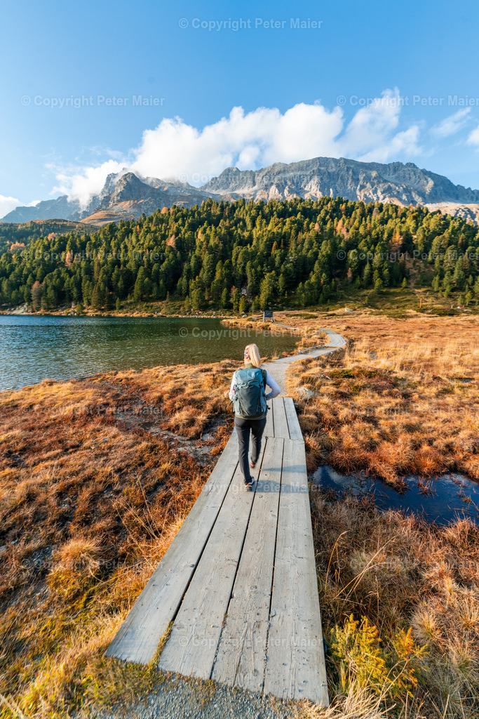 Defereggental_Herbst_Oktober_2024-196 | piet_flosse