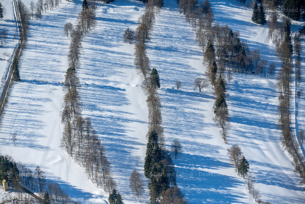 4043659 | winterliche Baumstrukturen im Rothaargebirge bei Winterberg