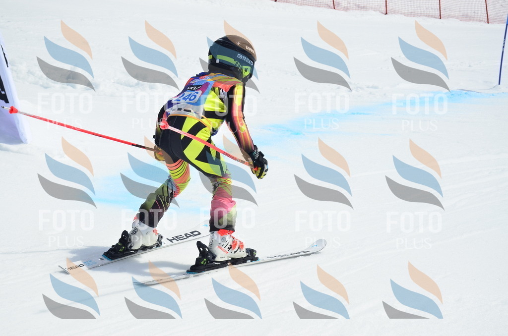 _ELE1790 | holidayphoto