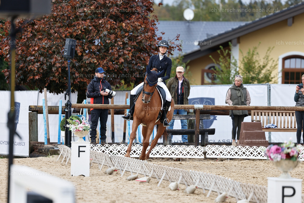12-220-DRESSUR  S___  -StoibPH-5315 | working equitationturnier fotograf videograf stoibphotography marixx film working equitation deutschland reitsport turnierfotografie eventfotografie equestrian events