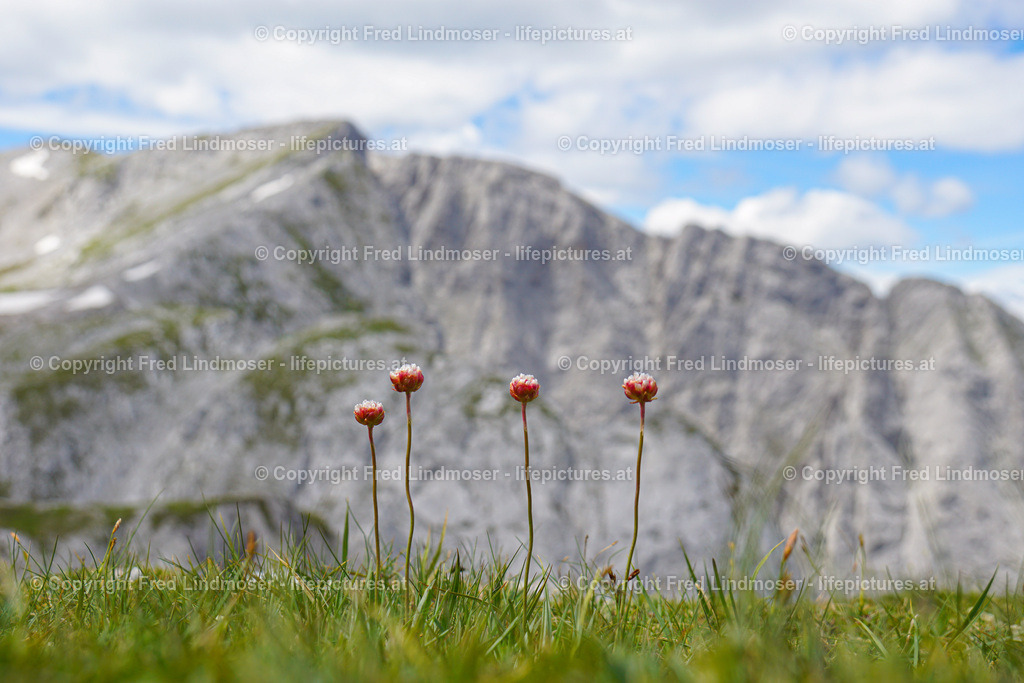 Hochschwab | Fotos und Fotoprodukte - Realisiert mit Pictrs.com