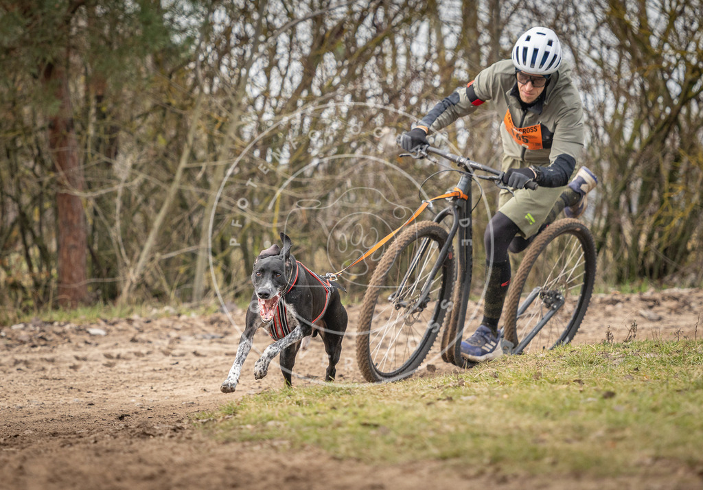 Pfotenfotografie_DV3A9360 | Hundefotografie, Tierfotograf, Pfotenfotografie, Fotoshooting Hund, Hunde Portrait, Hundesport, Hundeportraits, Heideshooting, Hunde, Sportfotograf, Hundefotograf, Turnierhundsport, THS,  - Realisiert mit Pictrs.com