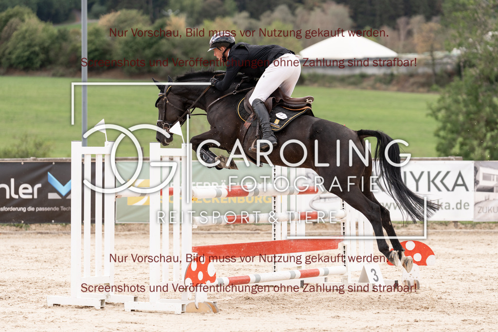 DSC06716 | Springturnier_Teamchallege_Talheim_2026, Manuel_Feige, Victoria_134