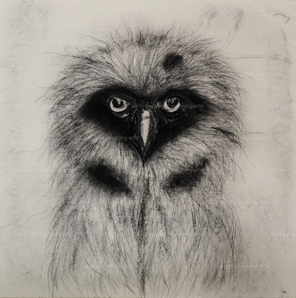 L1020074 (2) | romberg-arts, romberg-arts.de, www.romberg-arts.de, Foto_Online_Shop, Julia Fuhrmann, Köln, Fotos, Fotografie, Fotokunst, Kunstdrucke, Naturfotos, Aktfotos, Nacktfotos, schwarz_weiß_Fotos, Blumenfotos, Blumen, Tiere, Beton, Korrosion, Lächeln, Drucke