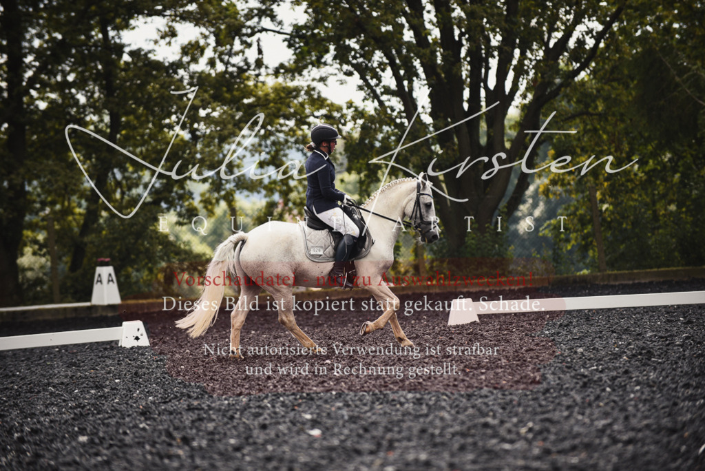 DSC_3910 | Pferde- und Turnierfotografie in Westsachsen. Pferdeportraits, Auftragszeichnungen und intuitive Kunst.