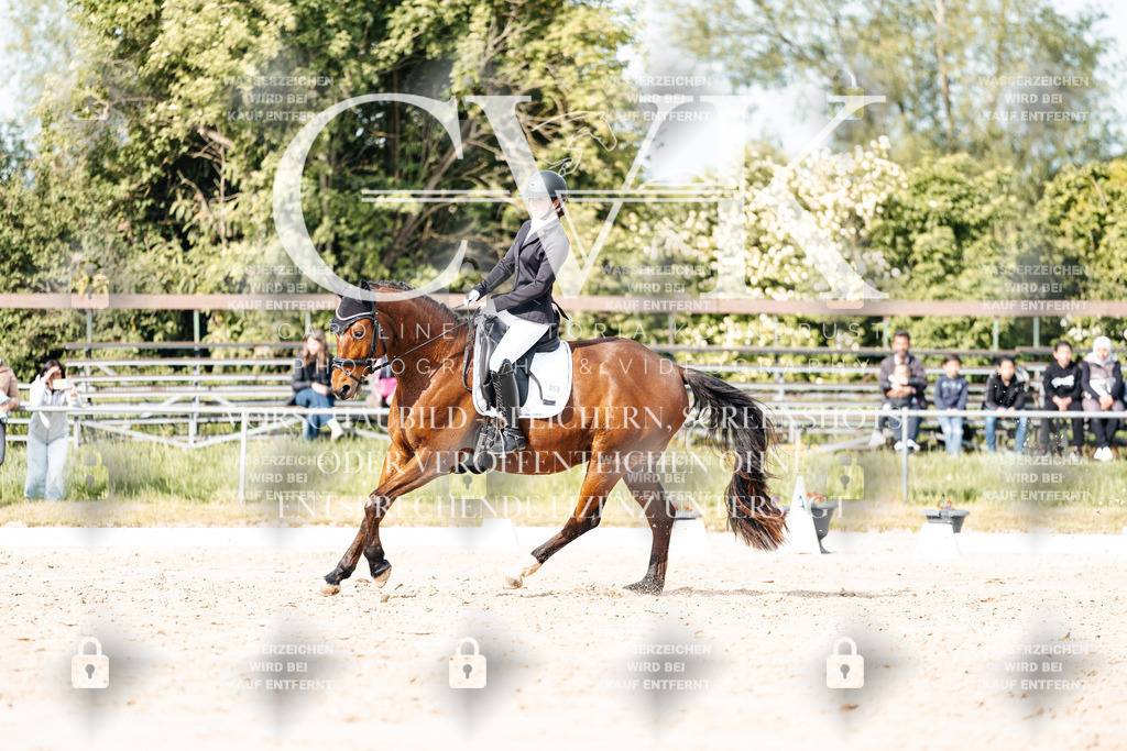 CK900460 | Turnierfotografie Pferdefotografie Trier Rheinland-Pfalz Pferdesport Reitsport Tierfotografie Sportfotografie Pferdevideo Pferdevideografie Equestrianvideography equestrianphotography  - Realisiert mit Pictrs.com