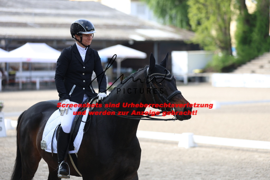 A40A3266 | lmwpictures - Realisiert mit Pictrs.com