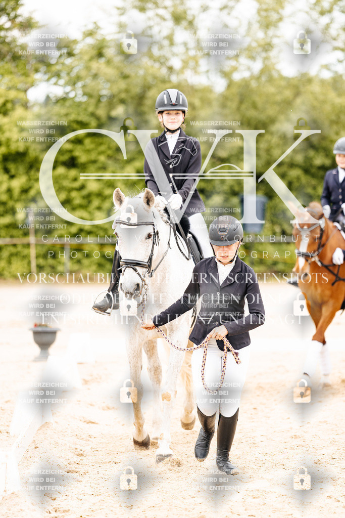 CK903718 | Turnierfotografie Pferdefotografie Trier Rheinland-Pfalz Pferdesport Reitsport Tierfotografie Sportfotografie Pferdevideo Pferdevideografie Equestrianvideography equestrianphotography  - Realisiert mit Pictrs.com