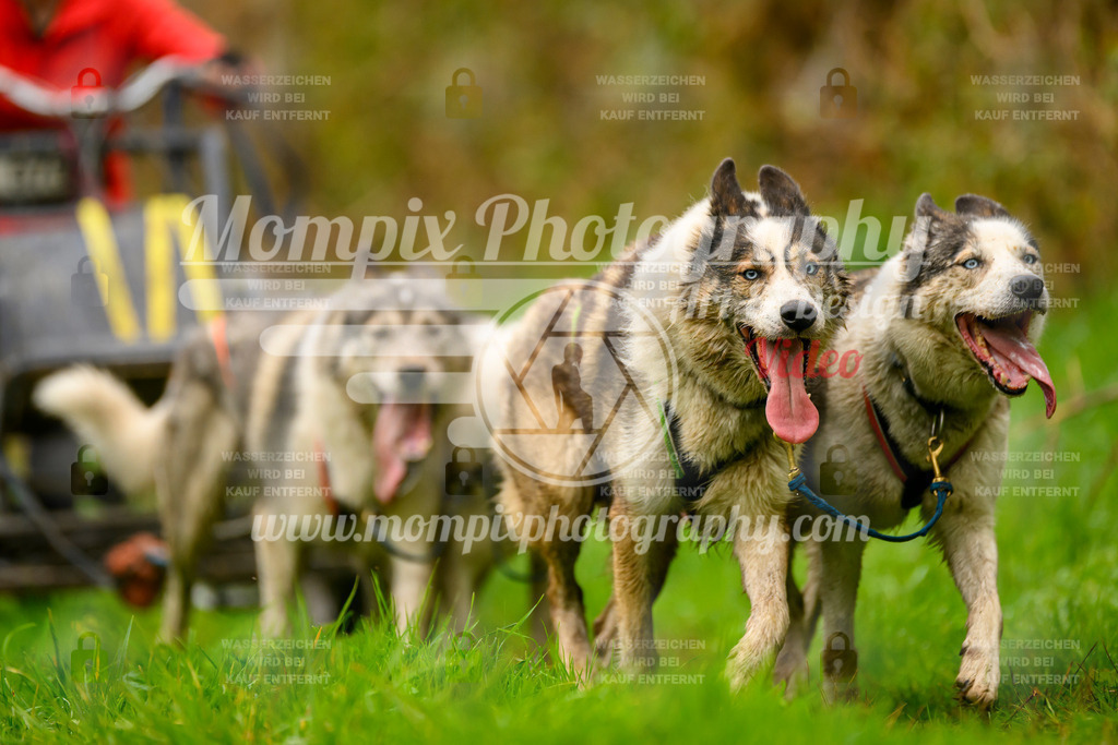 MompixPhotography_20TSB_E8_Kart-34 | PayLife