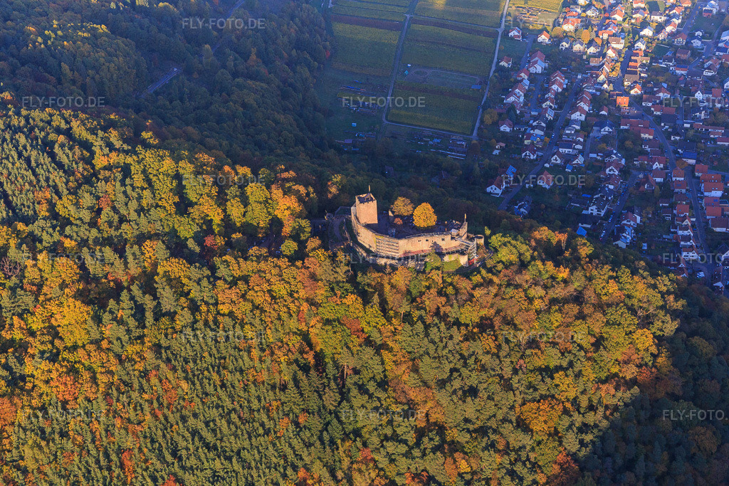 Burgruine der Burg Landeck im herbstlichem Wald bei Abendlicht https://www.landeck-burg.de/ | Luftbild: Burgruine der Burg Landeck im herbstlichem Wald bei Abendlicht https://www.landeck-burg.de/ in Klingenmünster im Bundesland Rheinland-Pfalz in Deutschland. Foto: IMG_095760.jpg vom 30.10.2016 durch Werner Riehm/FLY-FOTO.de - Realisiert mit Pictrs.com