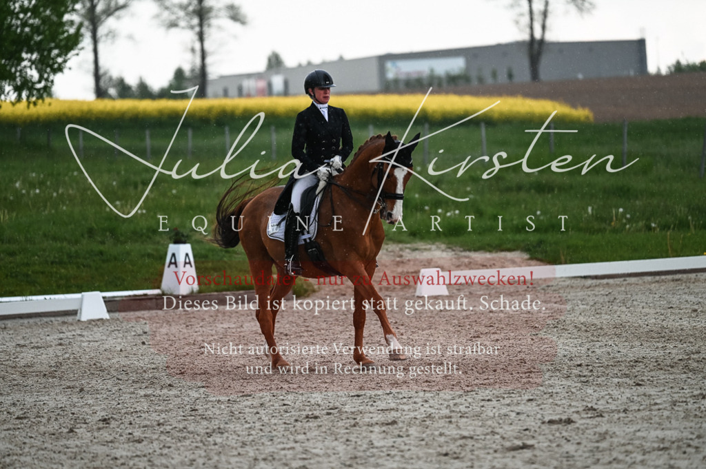 20230514_JK-Röhrsdorf-21-678 | Pferde- und Turnierfotografie in Westsachsen. Pferdeportraits, Auftragszeichnungen und intuitive Kunst.