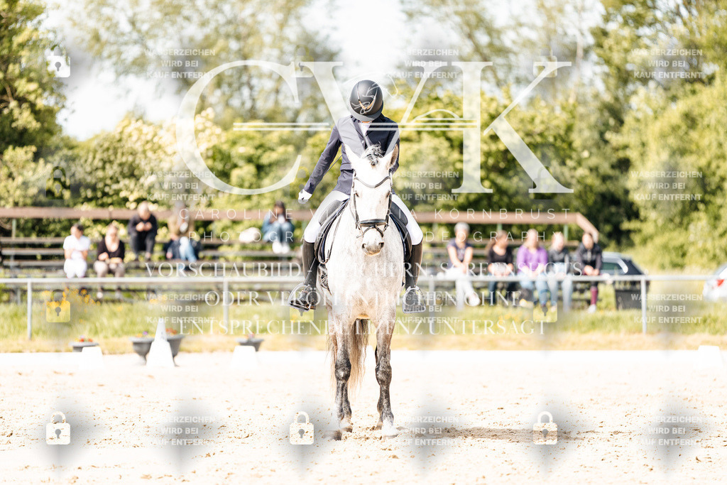 CK901560 | Turnierfotografie Pferdefotografie Trier Rheinland-Pfalz Pferdesport Reitsport Tierfotografie Sportfotografie Pferdevideo Pferdevideografie Equestrianvideography equestrianphotography  - Realisiert mit Pictrs.com