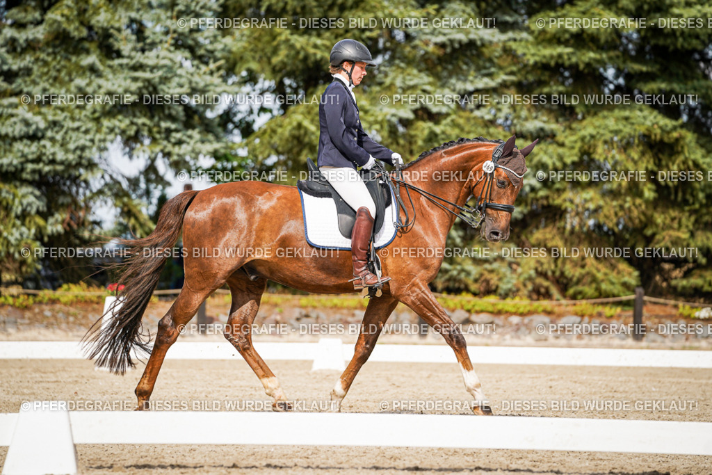 DSC06926 | Pferdegrafie