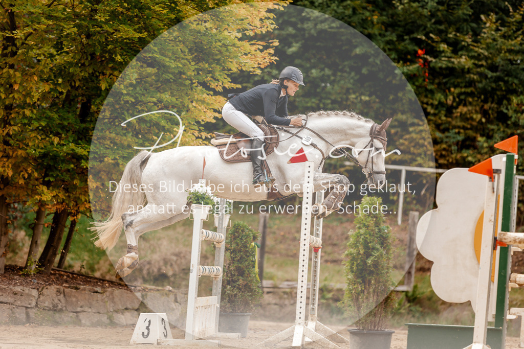 3I6A8205 | Stimmungsvolle Portraits und Reitsportfotografie im Ruhrgebiet und im Münsterland.

Pferdefotografie, Hundefotografie, Tierfotografie, Reportagen, Portraits von Tier und Mensch, Turnierfotografie in Bochum, Recklinghausen, Marl, Haltern am See, Dülmen.. - Realisiert mit Pictrs.com