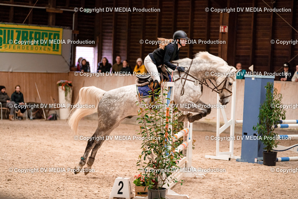 Springen Tag 2-160 | dv-media-shop - Realisiert mit Pictrs.com