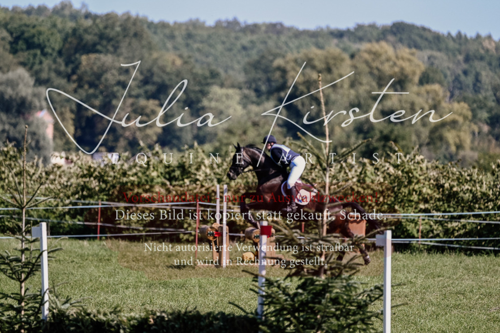 DSC_1601 | Pferde- und Turnierfotografie in Westsachsen. Pferdeportraits, Auftragszeichnungen und intuitive Kunst.