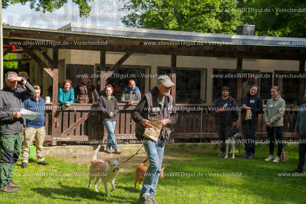 @allesWIRTHgut_Tierfotografie - www.allesWIRTHgut.de - 7R502361 | Professionelle Tierfotografie in Mönchengladbach von Daniel Wirth (allesWIRTHgut). Liebevolle & natürliche Bilder von Hunden & Katzen für unvergessliche Erinnerungen.
