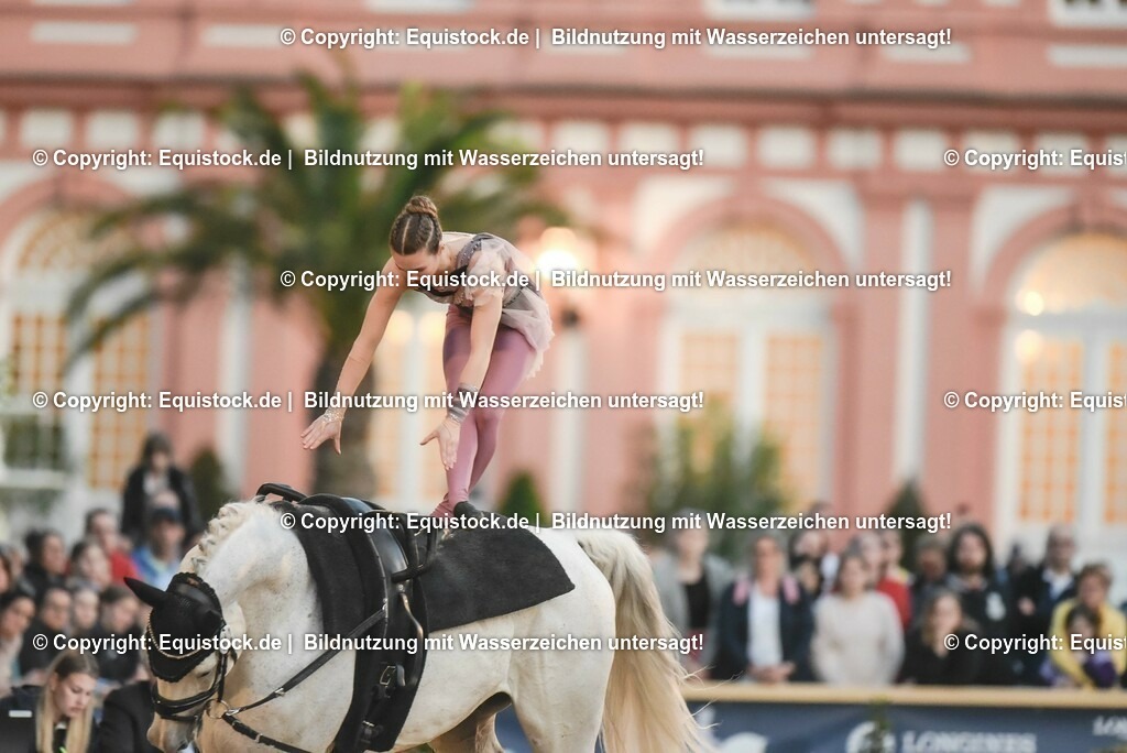 20230527_Voltigieren_NASPA_Flutlicht_0329 | equistock