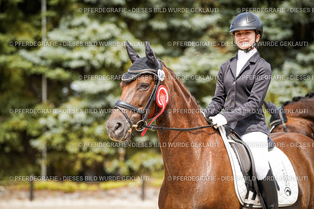 DSC04552 | Pferdegrafie