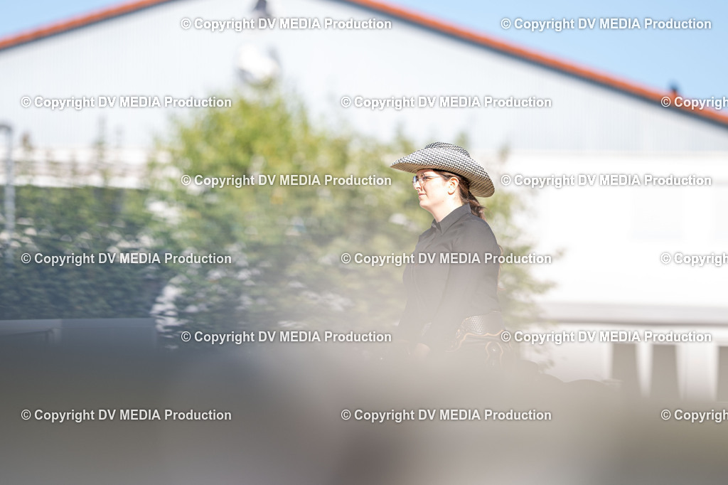 LM Heiligenwald Tag 1-2017 | dv-media-shop - Realisiert mit Pictrs.com