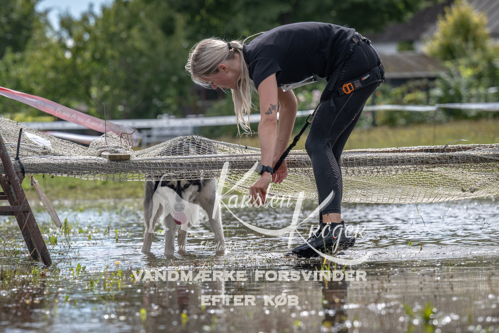 1332_ZZ90085 | kk-dogfotos