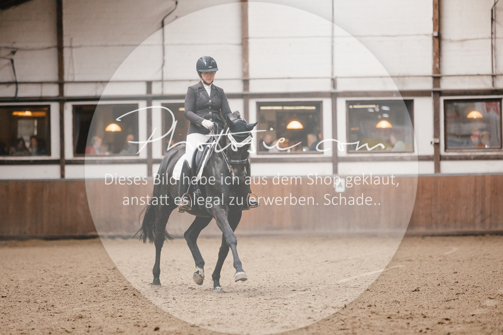 3I6A8350 | Stimmungsvolle Portraits und Reitsportfotografie im Ruhrgebiet und im Münsterland.

Pferdefotografie, Hundefotografie, Tierfotografie, Reportagen, Portraits von Tier und Mensch, Turnierfotografie in Bochum, Recklinghausen, Marl, Haltern am See, Dülmen.. - Realisiert mit Pictrs.com