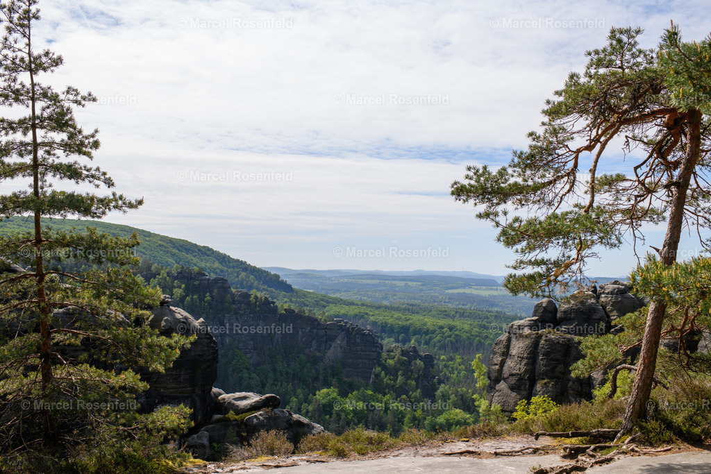 _DSC4956 | foto-rosenfeld