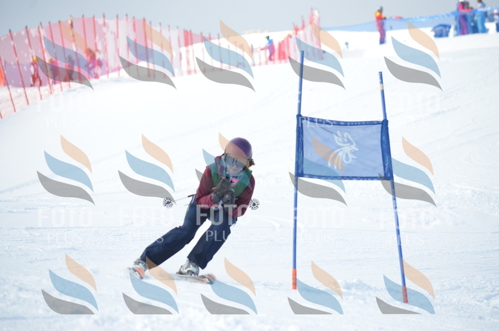 D8845 | holidayphoto