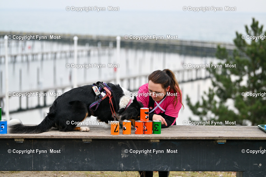 DSC_2447 | Hallo und herzlich Willkommen auf meiner Shop-Seite Fynn Most.

Ich wünsche Dir viel Spaß beim stöbern durch die Bilder, wenn Du Fragen hast oder Bilder vermisst, kannst du mir gerne eine Nachricht schreiben. - Realisiert mit Pictrs.com
