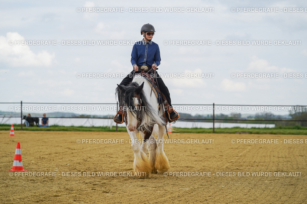 DSC05946 | Pferdegrafie