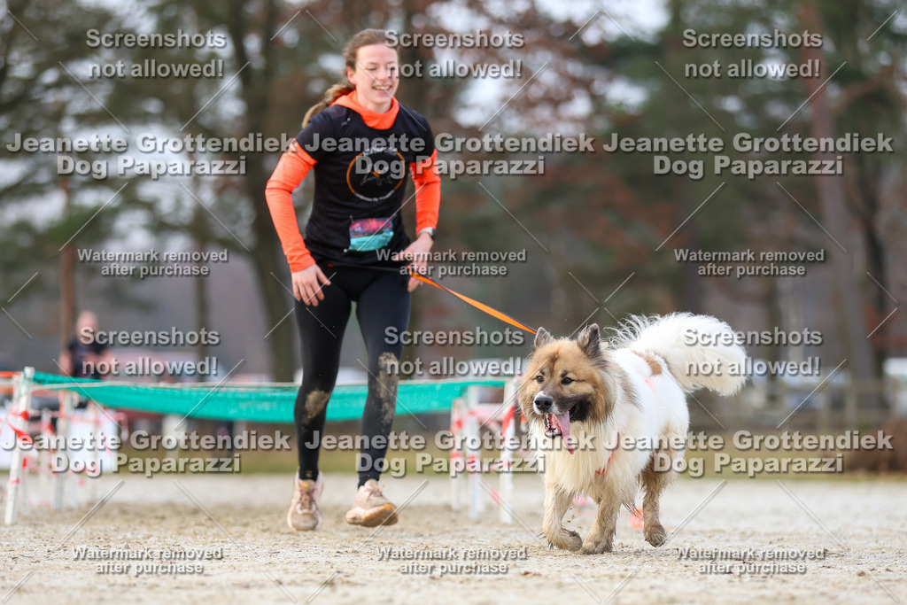 Dog Paparazzi - Strongdog North Mrz26-3692 | Dog Paparazzi Jeanette Grottendiek Fotografie & Videografie - Realisiert mit Pictrs.com